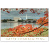 Washington DC Happy Thanksgiving greeting card