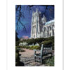 The National Cathedral in Springtime