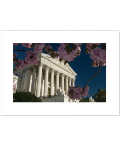 US Supreme Court in Spring blank card