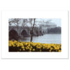 Lincoln Memorial Bridge in Spring blank card