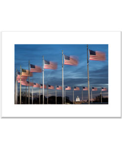 Washington DC evening with flags